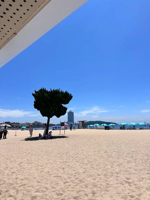 ชายหาดหมายเลข 2 ภาพที่ 8