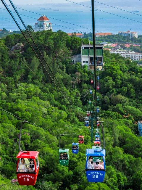 กระเช้าจง · สวนพฤกษศาสตร์ ภาพที่ 2