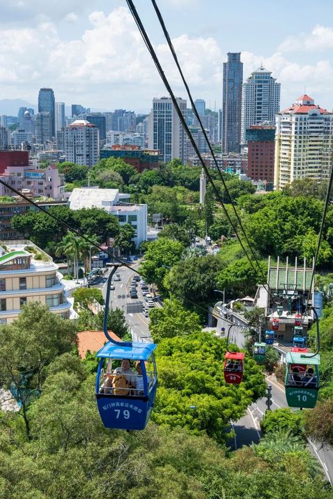 กระเช้าจง · สวนพฤกษศาสตร์ ภาพที่ 16