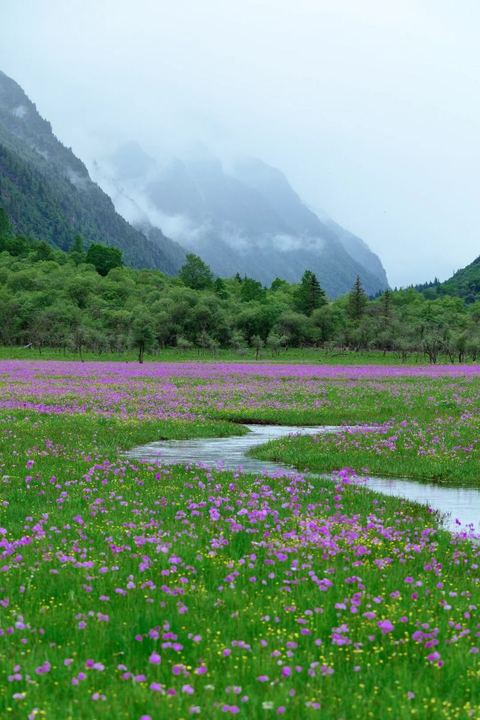 ทุ่งเหรินเซินกั่วผิง ภาพที่ 2