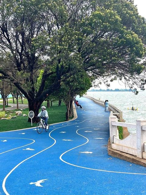 ทางจักรยานสีฟ้าเลียบลำน้ำ ร่มรื่นด้วยต้นไม้ใหญ่ในคุนหมิง